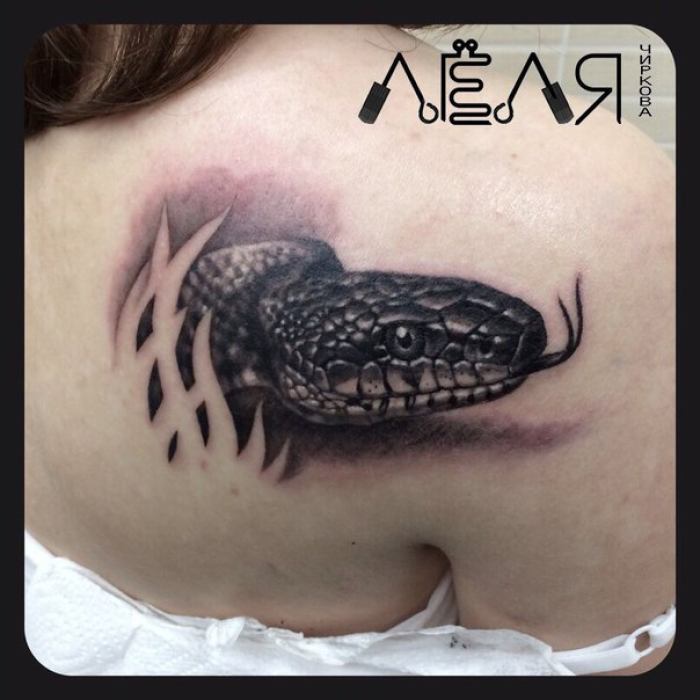 Татуировки Змея/Snake в стиле Реализм, Черно-Серая Лопатки / Каталог тату-салонови мастеров
